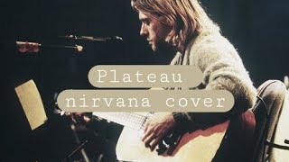 Plateau nirvana unplugged cover [upl. by Anined]