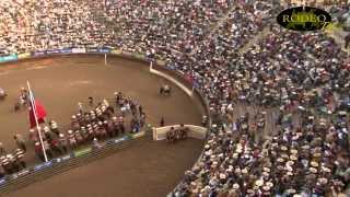 Campeonato Nacional de Rodeo Rancagua 2014  3er y 4to Animal Serie de Campeones [upl. by Eversole576]