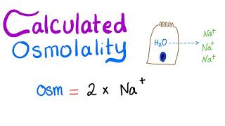 Calculated Osmolality [upl. by Annekam]