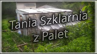 Permakulturowa szklarnia z palet [upl. by Domph623]