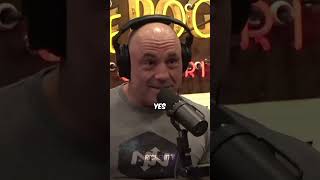 Joe Rogan Reacts to a Rock Climber Fighting a Bear joerogan bear podcast [upl. by Airyk]