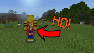 Minecraft Bedrock Edition  HD Capes Preview [upl. by Attah]