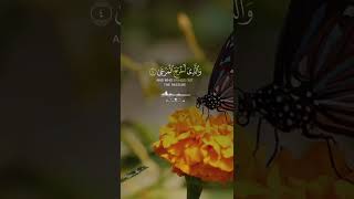 Surah Al Alaa beautifulrecitation quran [upl. by Kaehpos193]