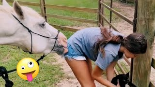 FUNNIEST Farm Animals 😂  Best Videos for families [upl. by Ailbert]