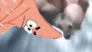 Kratos Falling Meme but Its Patrick [upl. by Renita]