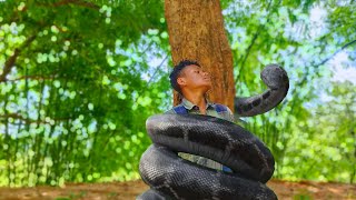 Big Anaconda Snake Attack Man In Forest  2024 [upl. by Samled281]