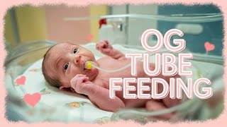 OG TUBE FEEDING Orogastric Tube  HOW TO FEED NEWBORN BY OG TUBE IN NICU [upl. by Sonnie]