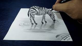 Come disegnare una zebra 3D [upl. by Latsryc362]