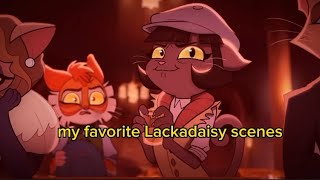 Rockyivy Freckle being the best trio  lackadaisy [upl. by Julita]