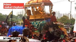 Jumboo Savari 2019 Dasara Elephants Ambari Elephant Arjuna Mysore Karnataka tourism [upl. by Lidah]