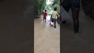 People help the flood affected people in Nalitabari [upl. by Ynatsed]