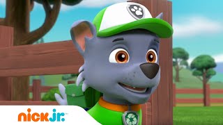 Psi Patrol  Marshall przebiera się za owcę 🐑  Nick Jr [upl. by Ause]