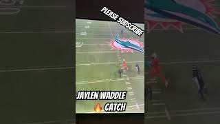 Jaylen waddle touchdown ￼ [upl. by Lorac]