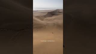 Brave enough to take on the namibia dunes 🏄‍♀️ [upl. by Willmert]