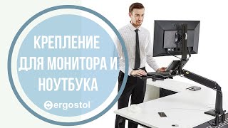 Крепление для монитора или ноутбука от ergostolru [upl. by Hannah]