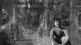 Nov 6 2024 Yawg Yaj Txiab Caws Nta Npuj Cuab Liab Mag Neeg Tuag [upl. by Hanae887]