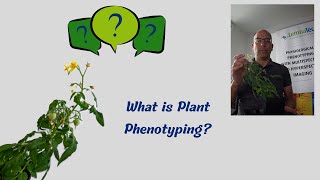 What is Plant Phenotyping [upl. by Idihsar]