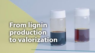 From lignin production to valorization [upl. by Akienat]