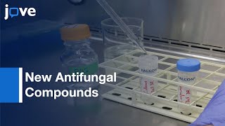 Broth Microdilution Screening Method Detect New Antifungal Compounds l Protocol Preview [upl. by Klina104]