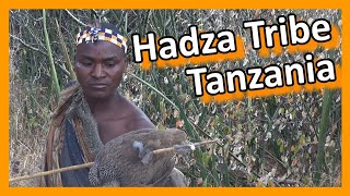 Tanzania  Hadza Tribe Hunters amp Gatherers [upl. by Loris]