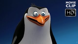 Penguins of Madagascar  Meet Rico  DreamWorks Animation HD [upl. by Ancilin179]