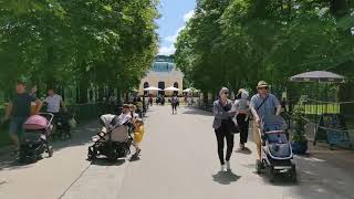 Tierpark Zoo Vienna Tiergarten Schönbrunn Rundgang Tiere Tier Überblick [upl. by Jacquette]