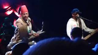 Fishbone  Everyday Sunshine part of the song  Live at Brooklyn Bowl in Brooklyn NYC on 22413 [upl. by Faulkner]