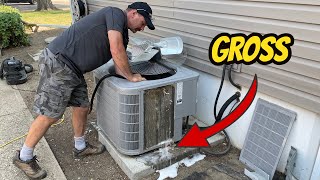 How To Clean Your Air Conditioner Condenser [upl. by Soble339]