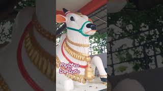 nandi gollaprolu pithapuram andhrapradesh lordshiva chagantikoteshwarrao [upl. by Stelu776]