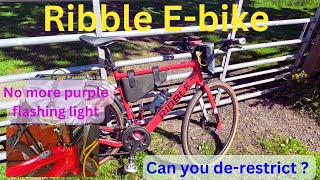 Can you derestrict a Ribble ebike  purple fault light gone [upl. by Wain271]