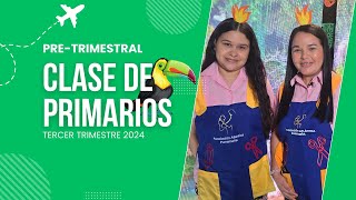 CLASE DE PRIMARIOS  TERCER TRIMESTRE 2024 [upl. by Lodie]