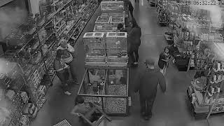 Surveillance video of Petland bird theft [upl. by Atte]