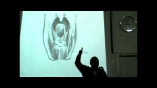 Dr Sherif Glal Neck 14  muscles of pharynx part 2 [upl. by Danette]