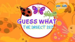 Guess What The Insect Is Zaky Game [upl. by Luoar]