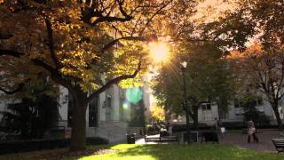 Northeastern University in the Fall [upl. by Airrehs]