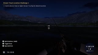 Wels Catfish  Gold theangler callofthewild gaming fishing cotw [upl. by Eberly565]