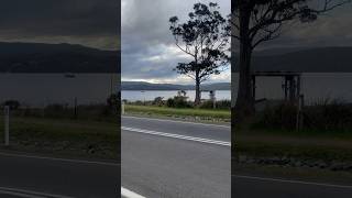 Waiting for the ferry in Tasmania The Most Solo Traveller Experience Ever [upl. by Milurd]