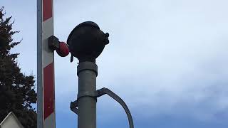 Hawker St Ovingham SA level crossing September 2018 [upl. by Masson]