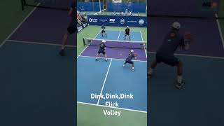 Dink Flick Volley pickleball play [upl. by Atiana]