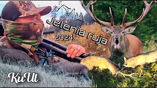 Jelenia ruja 2024 [upl. by Eelynnhoj]