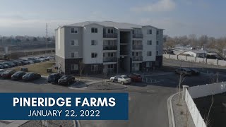 Pineridge Farms Update January 2022 [upl. by Bertasi]