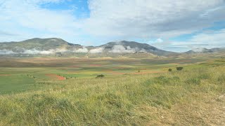 Castelluccio in bloom ITALY [upl. by Dunson]