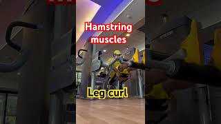 Leg curl hamstring workout leg curl exercise leg curl machine shorts gym fit short reel ig [upl. by Iva]