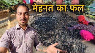 पहाड़ी जन जीवन और खूबसारी मेहनत village lifestyle vlog in Uttarakhand  sj family vlog  Sujan [upl. by Trebeh818]