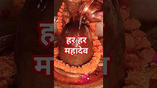 Om namah shivaya। गुरुवार 21112024 bholenath mahadev trending shorts [upl. by Andrade162]