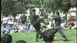 Masters Bujinkan shows techniques ninpo taijutsu 2 [upl. by Mapel]