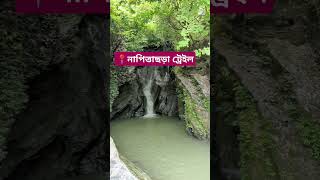 নাপিত্তাছড়া ট্রেইল ঝর্ণা ট্রেকিং সীতাকুণ্ড চট্টগ্রাম। napittachora waterfall sitakundo ctg [upl. by Josey333]