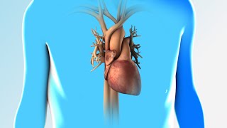 Heart Failure  Discharge Instructions  Nucleus Health [upl. by Idhem]