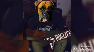 K8doDoglife [upl. by Varipapa]