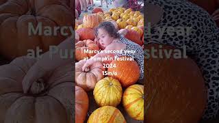 Fruitville Grove Pumpkin festival pumpkinfestival sarasota florida 2024 [upl. by Mattox163]